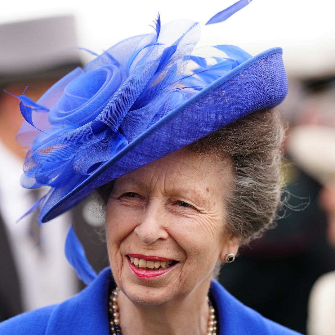 Princess Anne commands attention in unconventional above-the-knee 'business' look