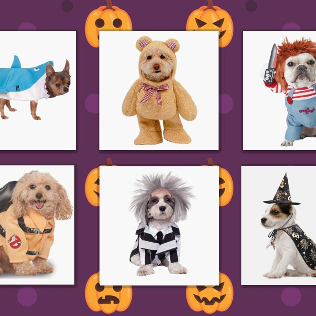 17 best Halloween costumes for dogs of all sizes – from pumpkins to scary spiders