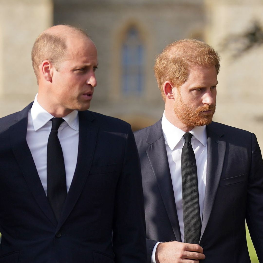 Controversial rule preventing Prince William and Prince Harry from inheriting Princess Diana's home