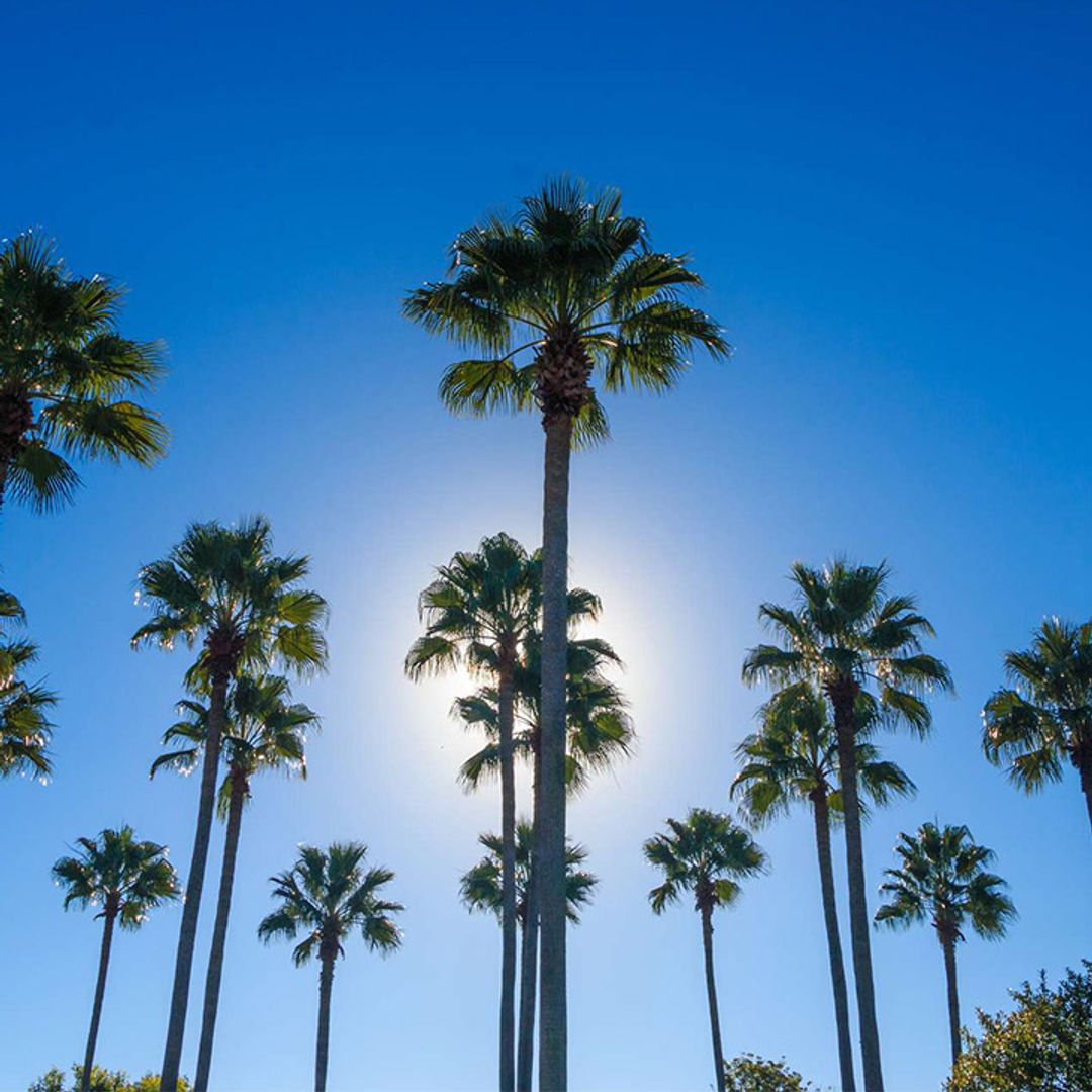 British Airways Holidays: Save up to £300 on Orlando holidays