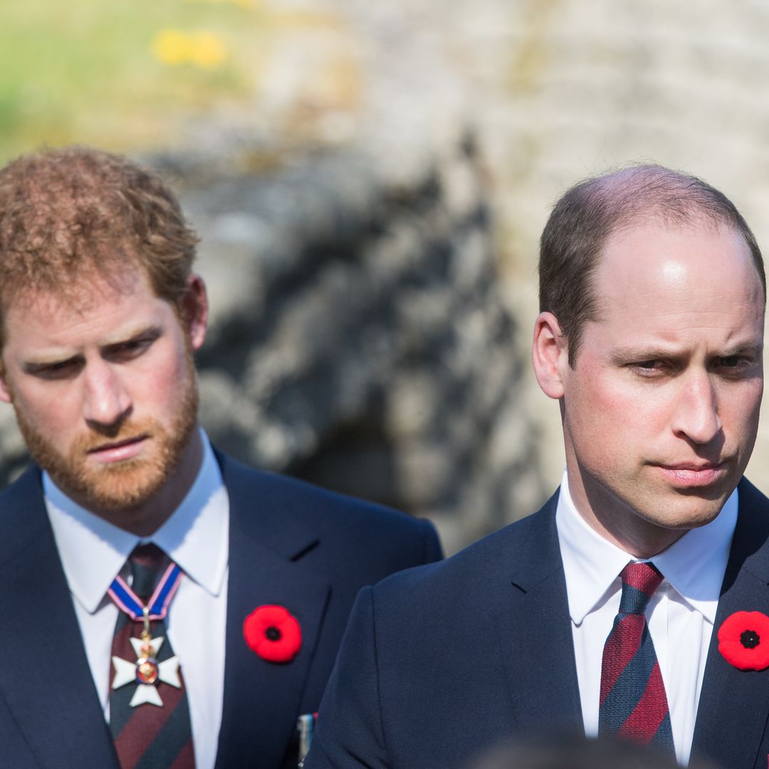 Heartbreak for Prince William and Prince Harry as family member is found dead
