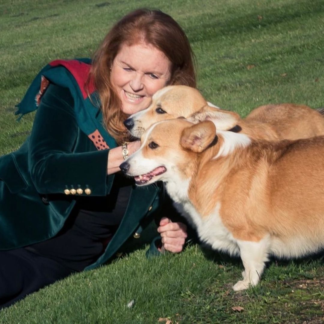 Queen's corgis inherited by Sarah Ferguson and Prince Andrew mark special milestone