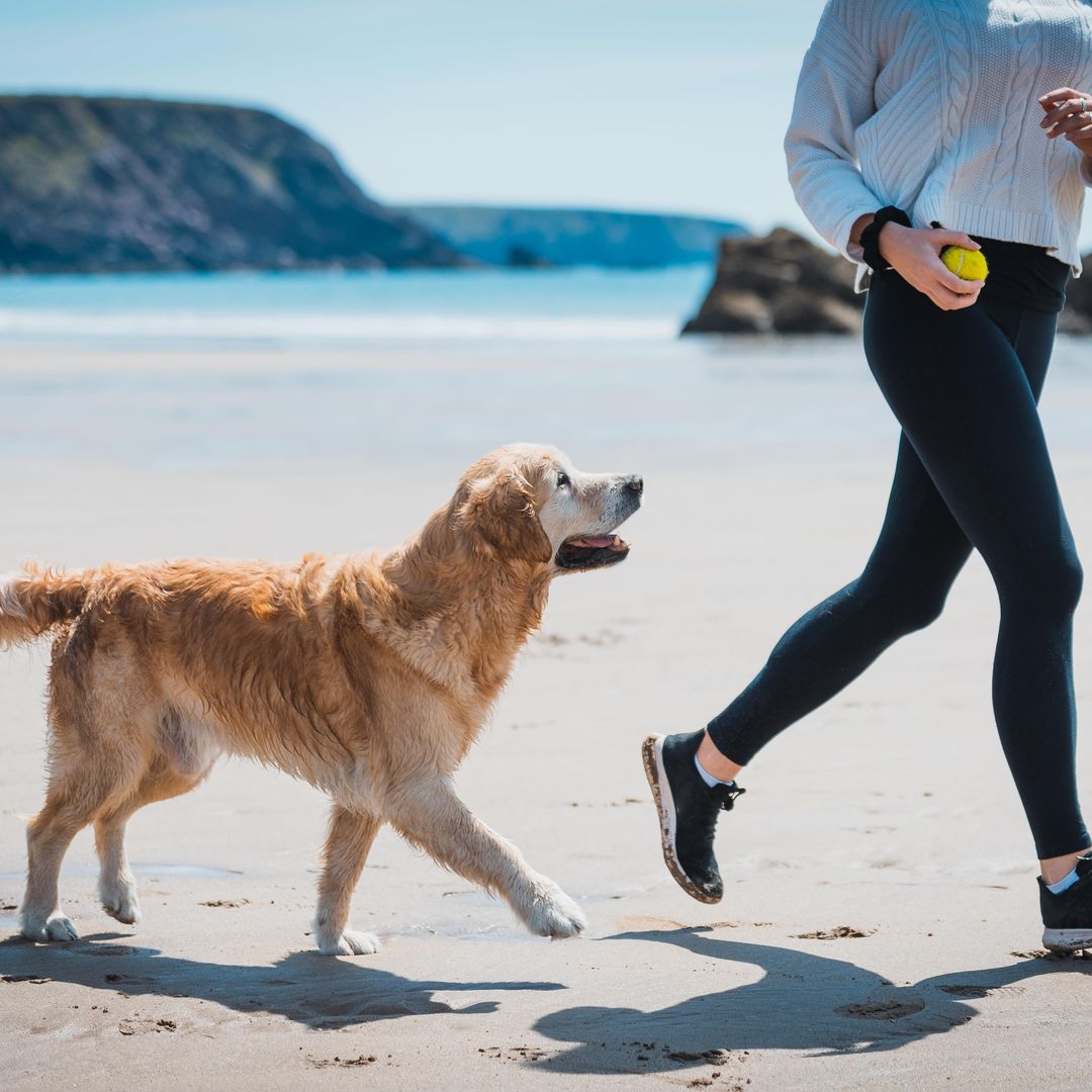 7 best dog-friendly UK beaches to let your beloved pooch run free this summer