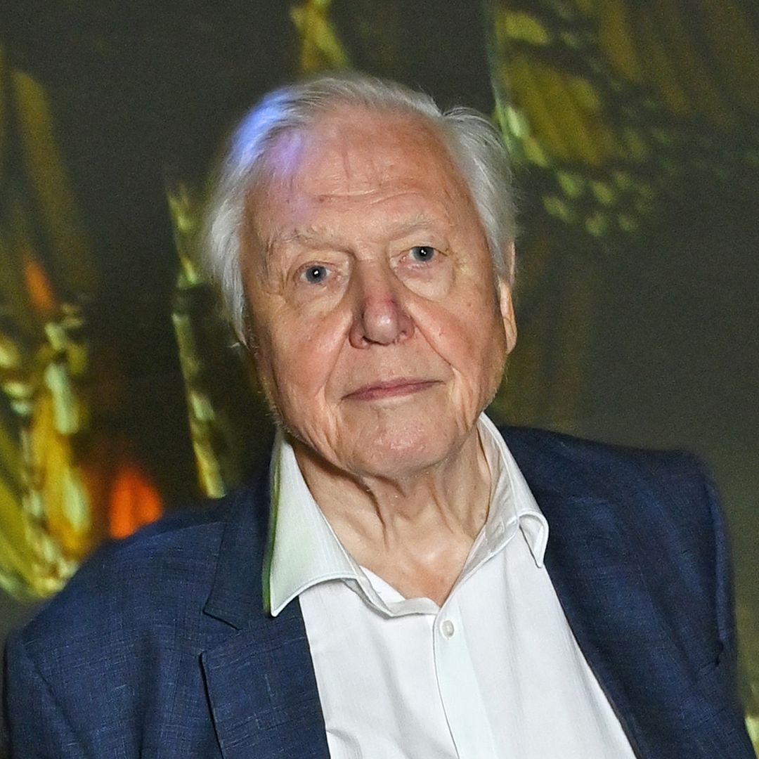 David Attenborough reflects on near-death experience in emotional admission