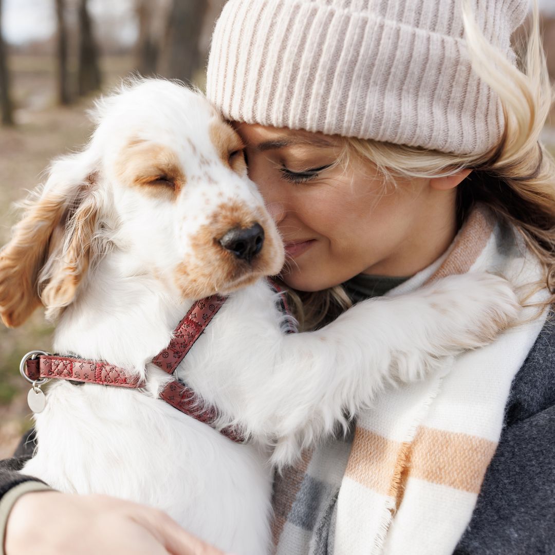 Is it normal to love my dog more than other people?