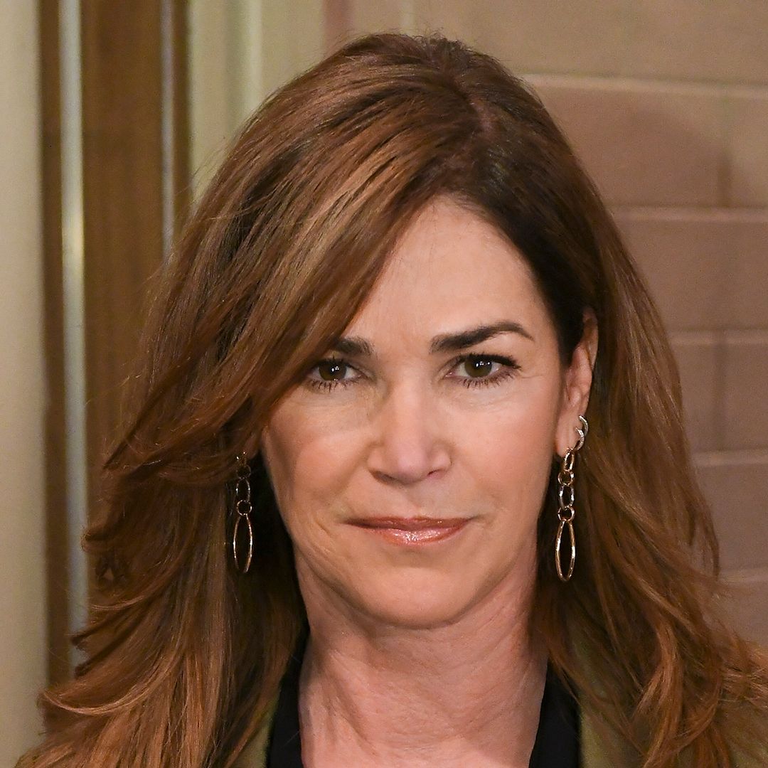 Chicago Fire star Kim Delaney arrested for felony assault in LA - details