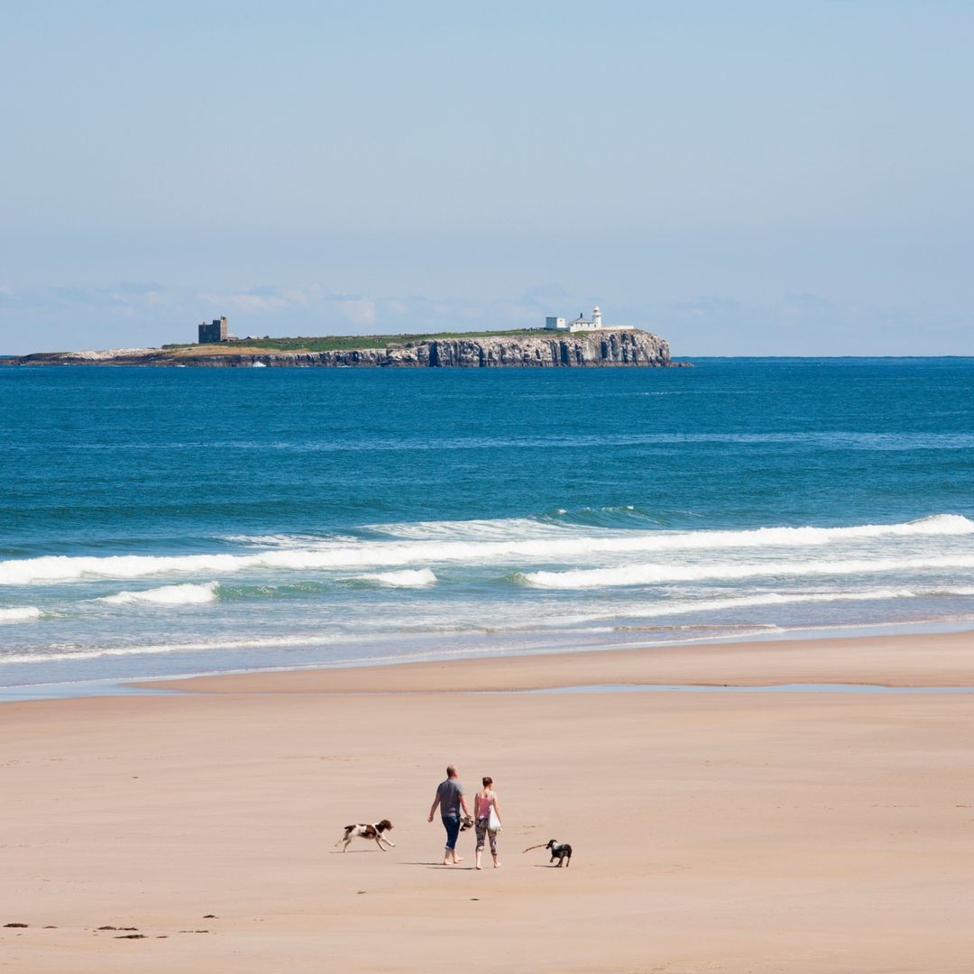 This 'underrated' haven just overtook Cornwall and Lake District as the UK's top dog-friendly escape