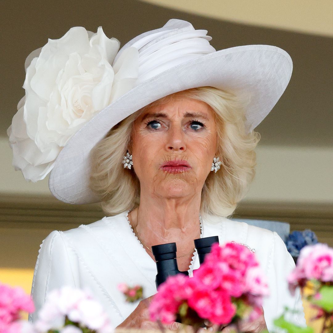 Queen Camilla's 'hatred' that divides her from the royal family